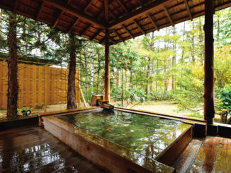 Tsutsujitei open-air bath