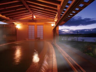 Hotel Shion Hinoki Open-Air Bath