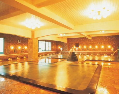 Keizan Public Bath "Hanano"