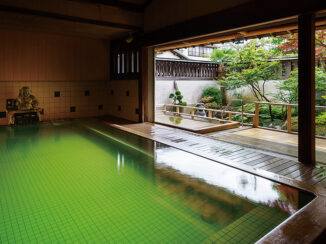 Seifuen "Tsukioka Yu Koro" men's indoor bath "Genji no Yu"