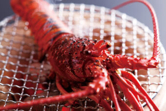 Fukujyuso Grilled Lobster