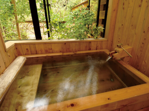 Kannon Onsen Seiunkan Garden Cypress Bath