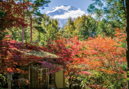 鐘山苑　日本庭園　