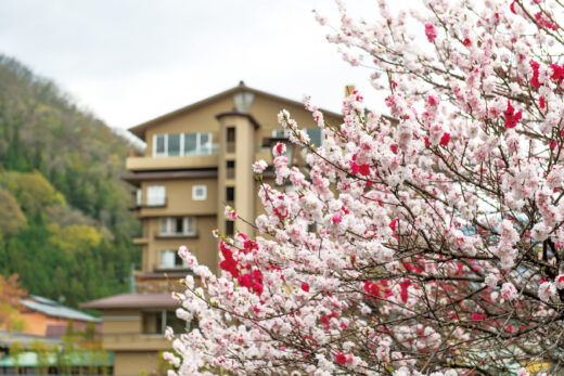 Hirugami Grand Hotel Tenshin scenery