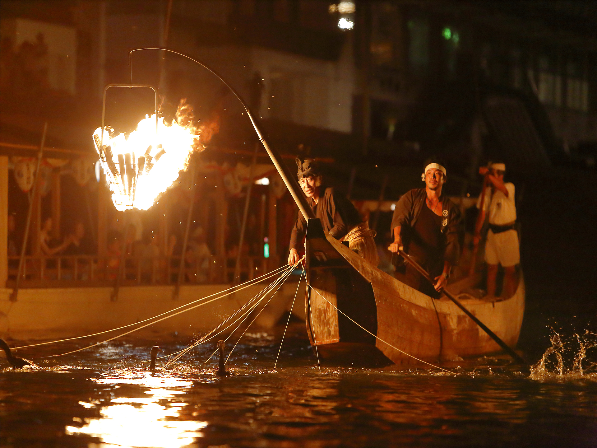 Photo: Gifu Nagara River Cormorant Fishing