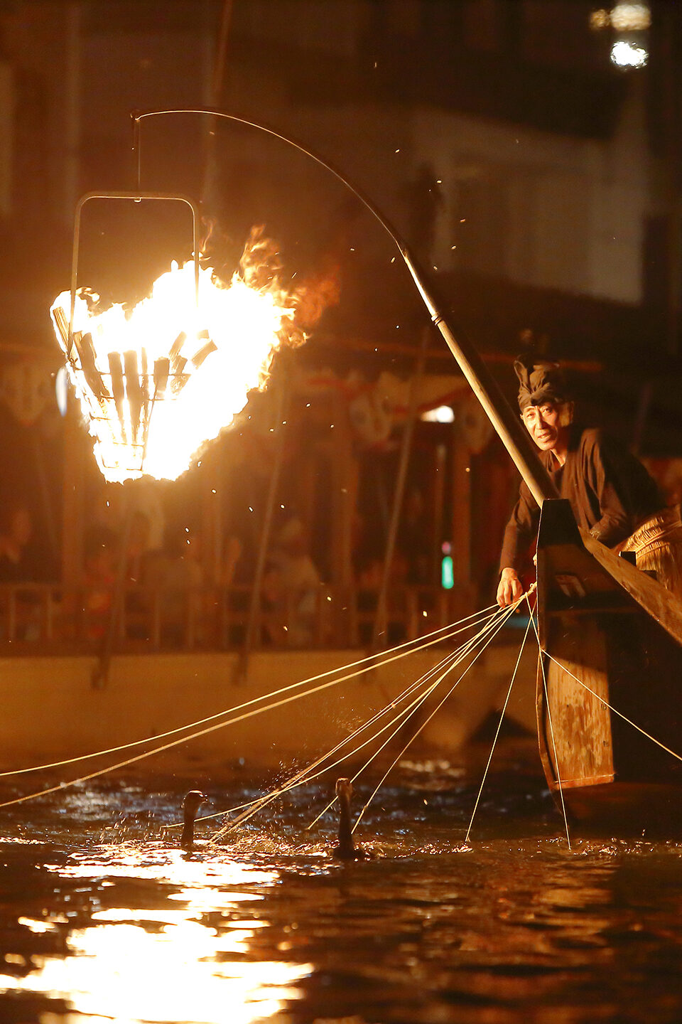 Photo: Gifu Nagara River Cormorant Fishing