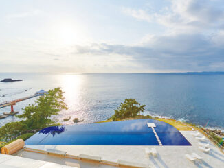 Image: Infinity Pool