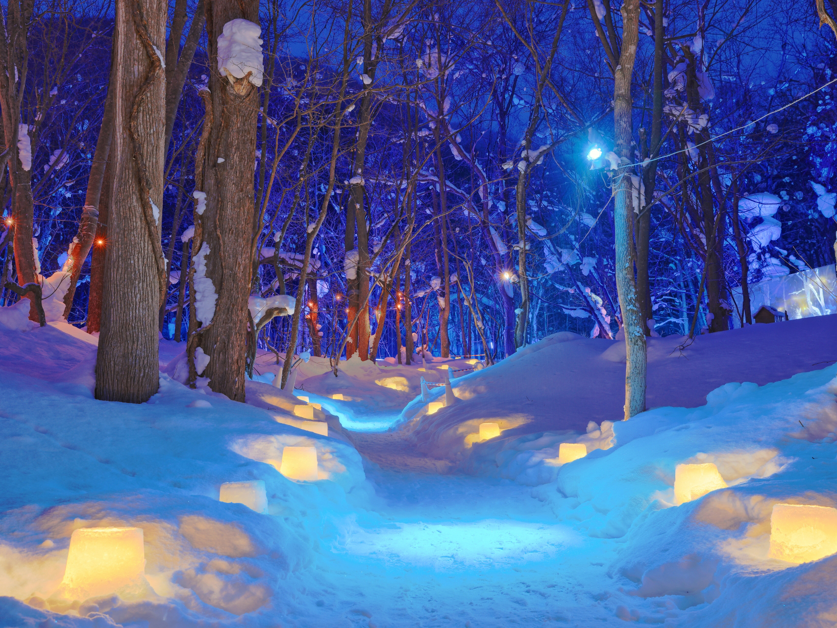 Image: Jozankei Prayer Forest