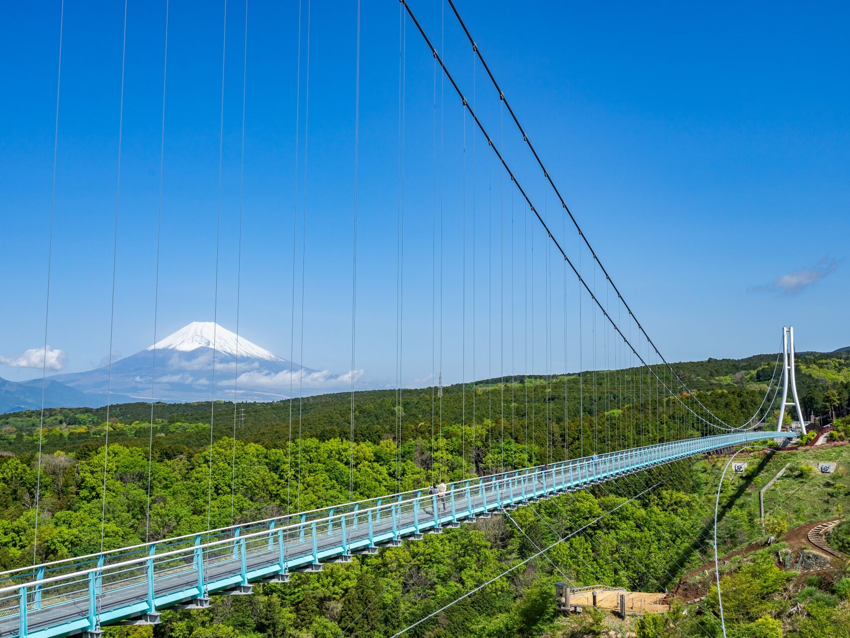 Image: Mishima Skywalk