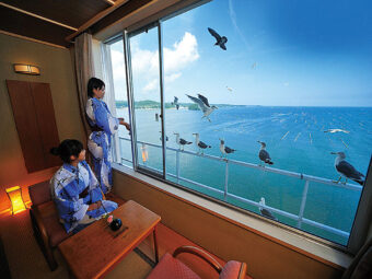 Photo: Seagulls in the Kanyo Kanyo room at Minamisanrikuhotel