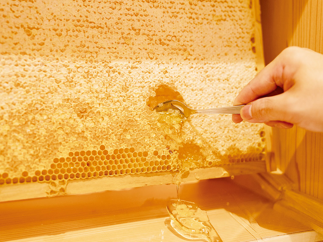 Image: Koyo honeycomb