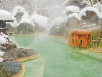 Image: Okuhida Garden Nightingale