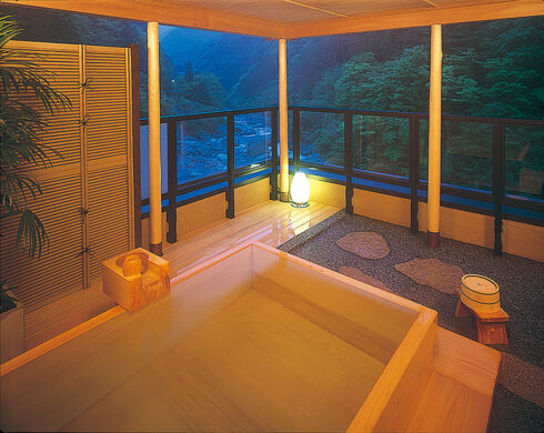 Image: Special room with open-air bath