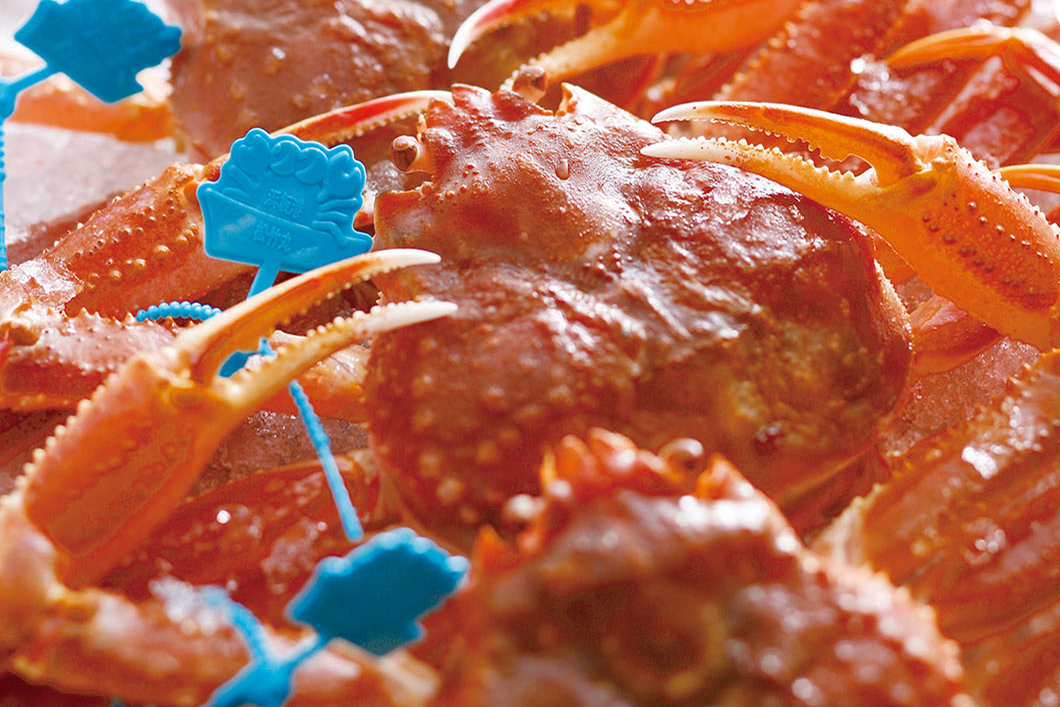 Photo: High-quality Matsuba crab (example)