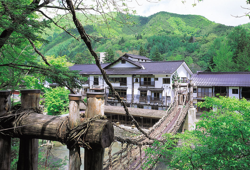 Image: Panoramic view of greenery