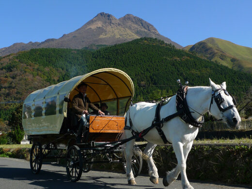 Yufuin Sightseeing Horse-Drawn Carriage