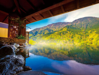 Image: Hakone Ginyu
