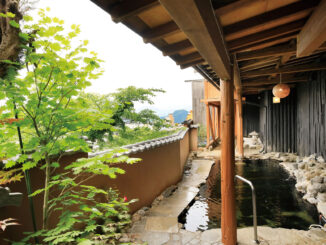 Image: Biyu no Yado Large Bath 018