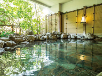 Image: Kinugawa Onsen Hotel Hotel