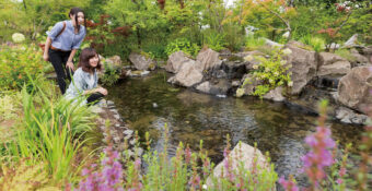 Image: Flower Garden