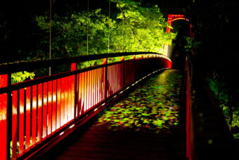 Image: Jozankei Futamibashi Illumination