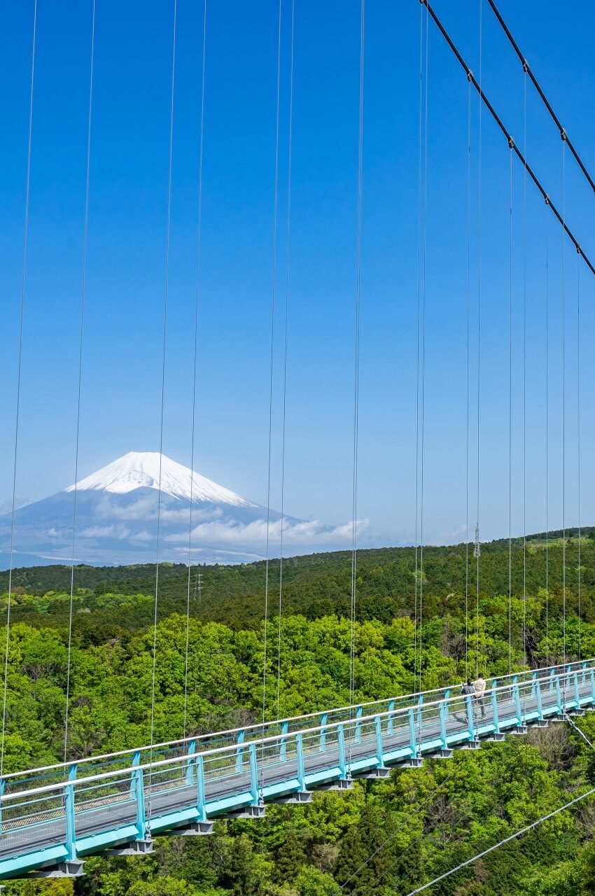 画像：三島スカイウォーク