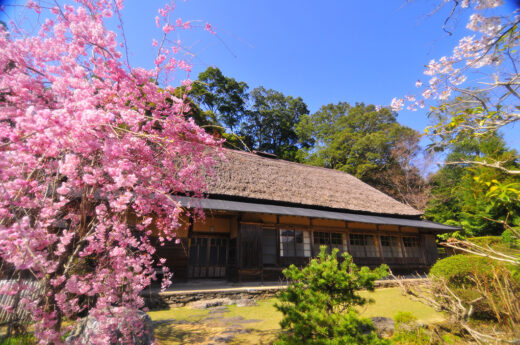 画像：三木家住宅