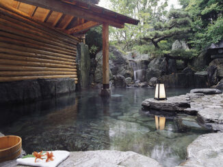 画像：井づつや　やくしの湯露天風呂「夢の湯」