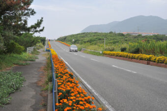 画像：房総フラワーライン