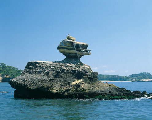 松島島巡り観光船