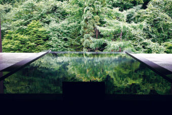 画像：最上階「雲井の湯」。湯鏡に森が映りこみ、一枚の絵のようだ。