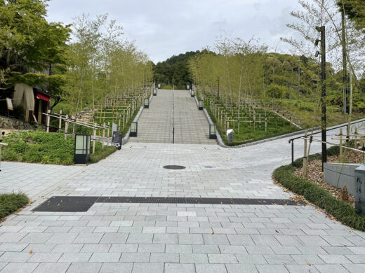 画像：竹林の階段
