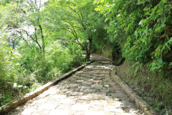 画像：芦ノ湖東岸 石畳の道