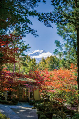 画像：紅葉の日本庭園