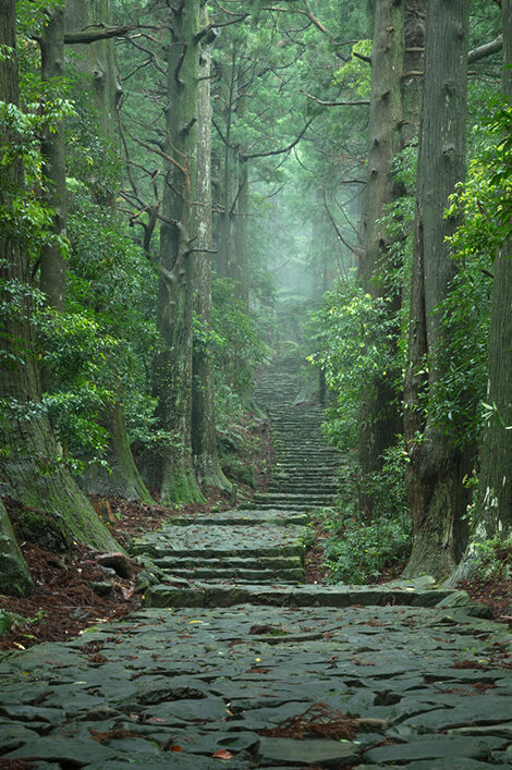 画像：大門坂