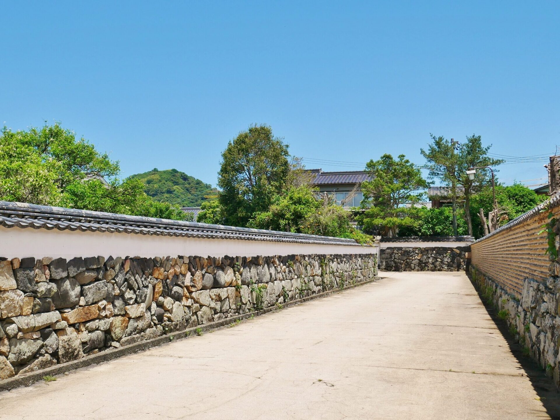 Image: Hagi and Horiuchi Kagi