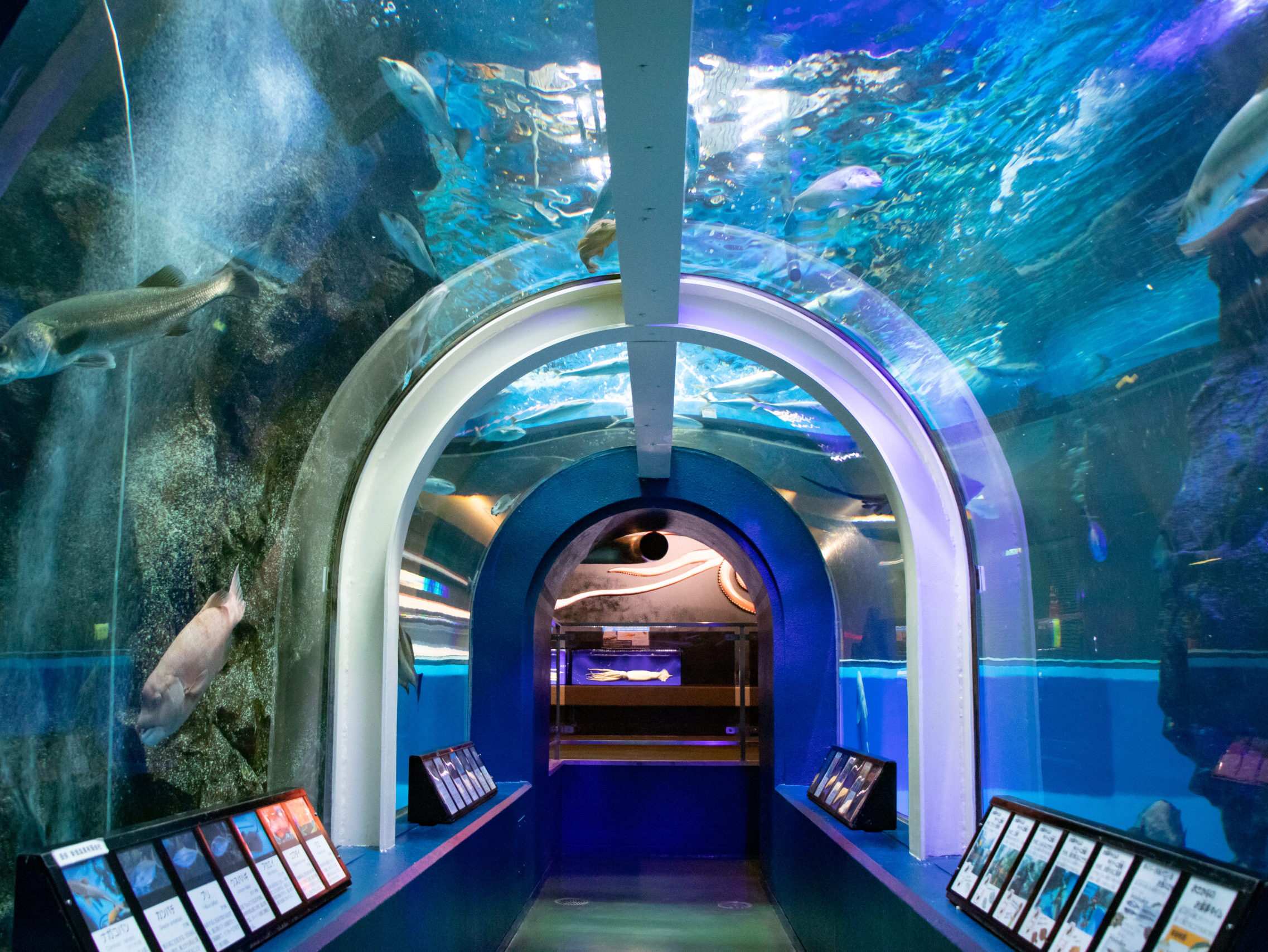 Uozu Aquarium © Toyama Tourism Promotion Organization