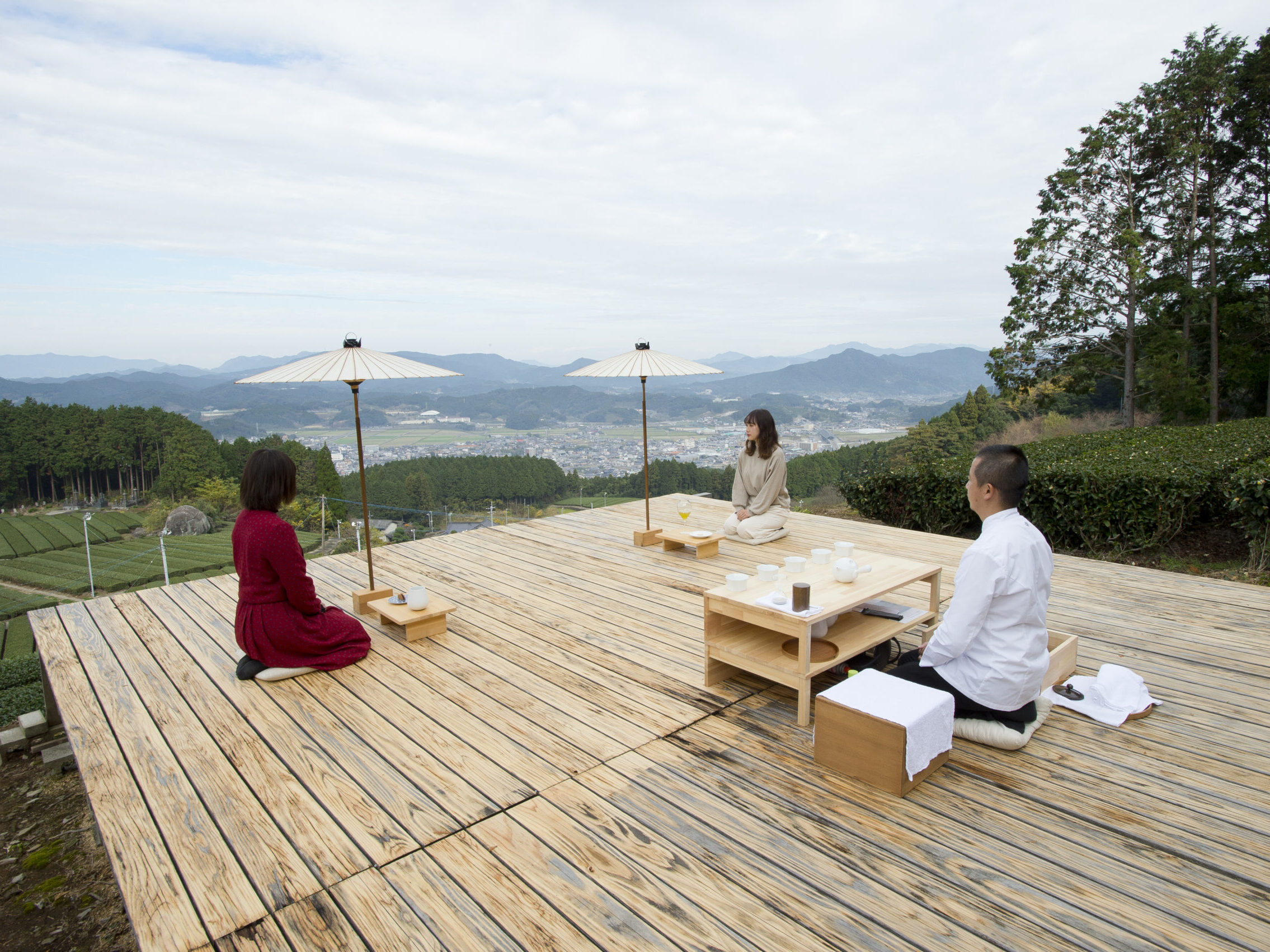 茶畑と山並みを望む絶景テラスで楽しむティーツーリズム