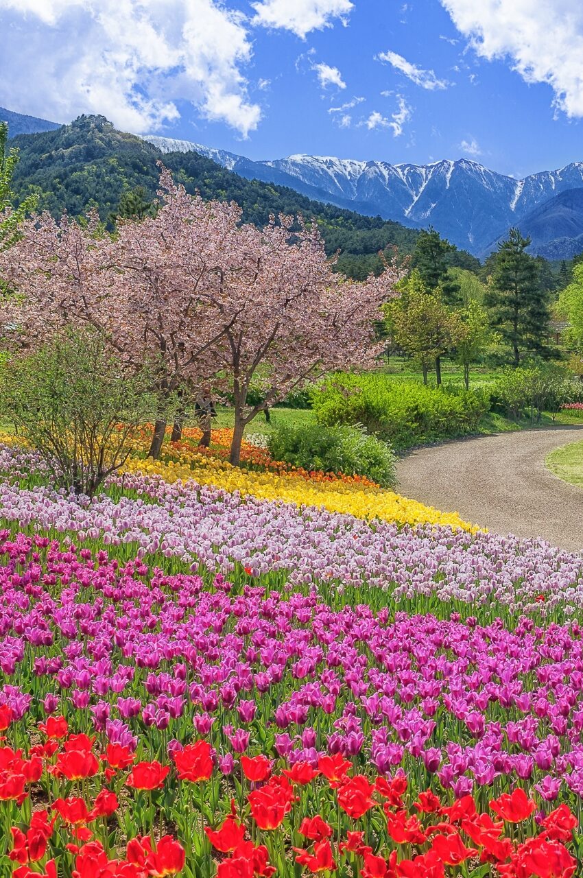国営アルプスあづみの公園
