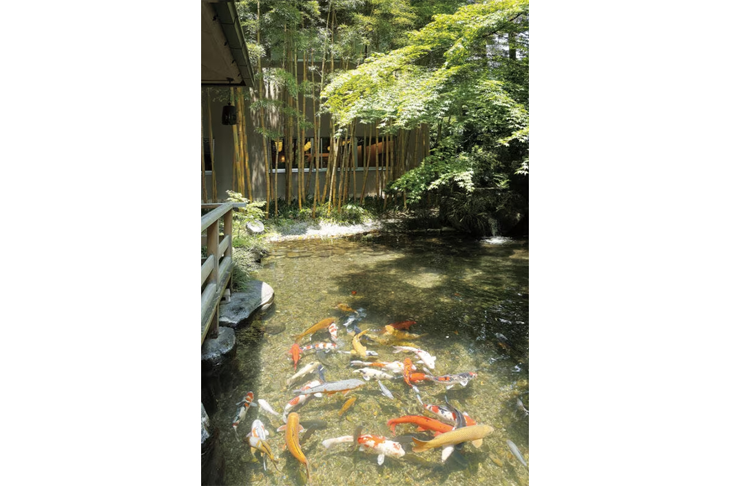 夏の日本庭園