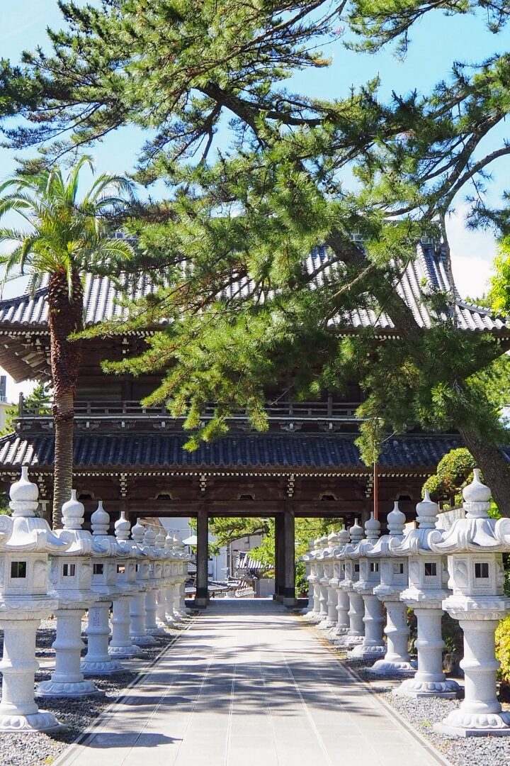 誕生寺