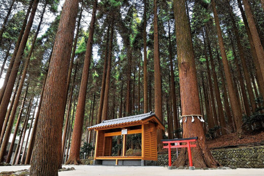霧島ホテル　百年杉庭園(昼)