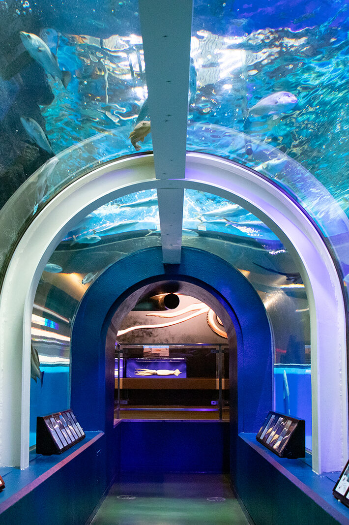 魚津水族館ⓒ（公社）とやま観光推進機構